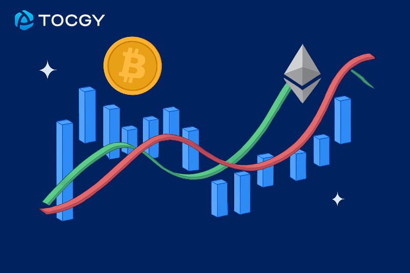 TOCGY Exchange: Ekspansi Stabil di Tengah Kesulitan Pasar